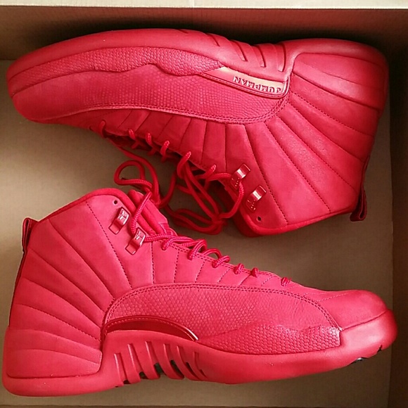 Jordan Other - Air Jordan 12 Retro